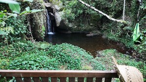 A bench overlooking a small waterfall and pond surrounded by lush greenery.