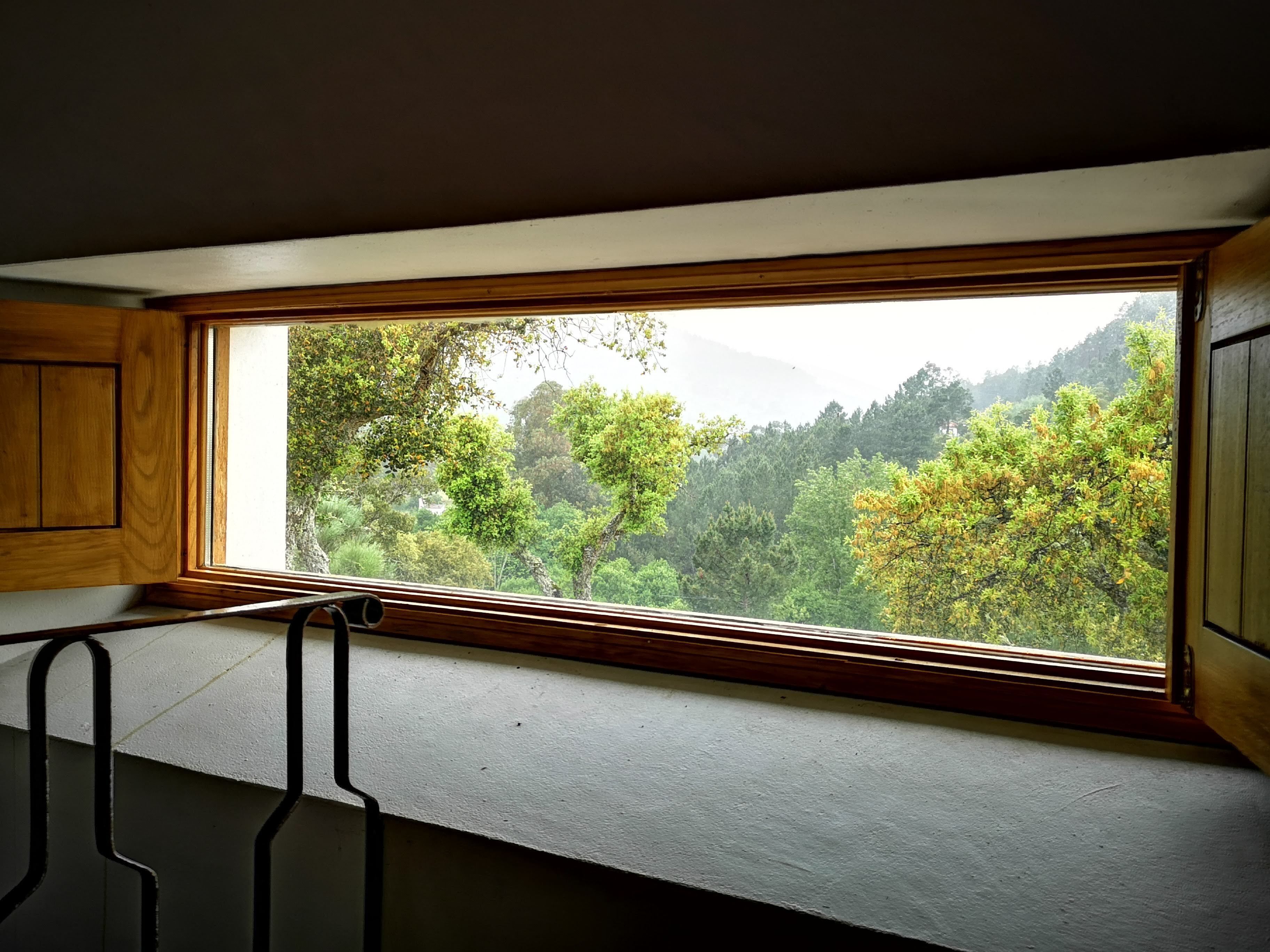 Una habitación con un amplio ventanal con vistas a un bosque.