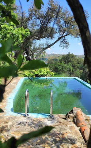 Una piscina con escaleras metálicas, rodeada de vegetación y árboles.