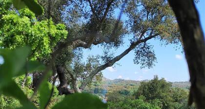 Monte das Cascatas, Envolvente Natural