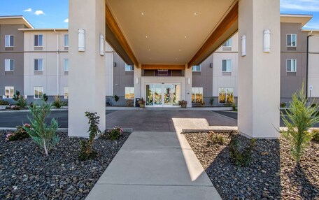 A modern hotel entrance with a covered walkway, multiple floors, and a parking lot.