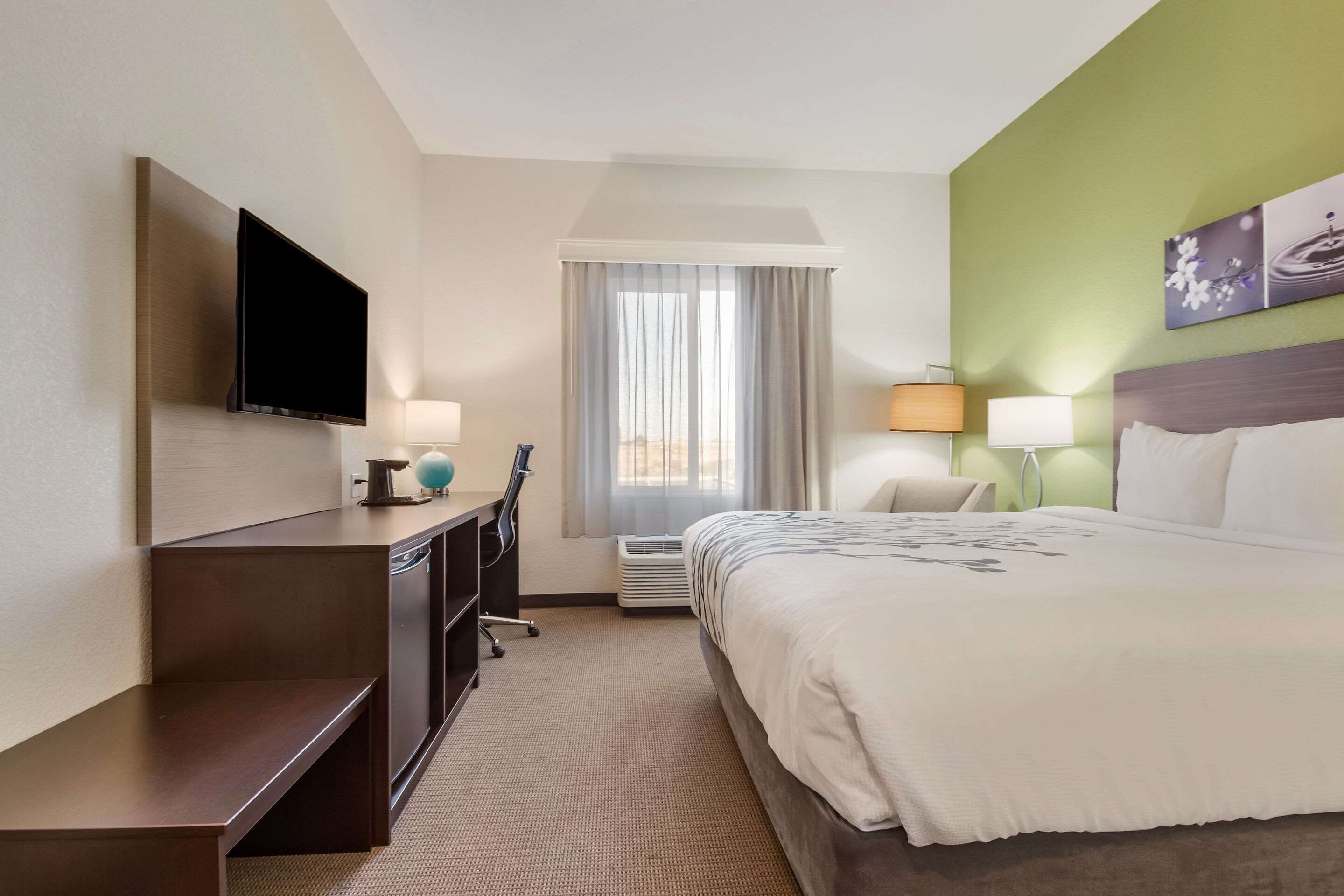 room, 1 king bed, accessible, non smoking | desk, free wifi