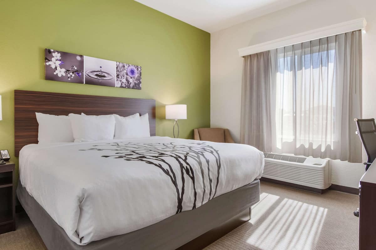 Standard Room, 1 King Bed, Non Smoking