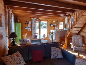 Fernseher, Kamin, DVD-Player, Bücher