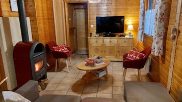 Televisión, chimenea, reproductor de DVD y libros