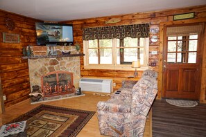 Televisión, chimenea