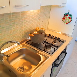 Fridge, oven, stovetop, cookware/dishes/utensils