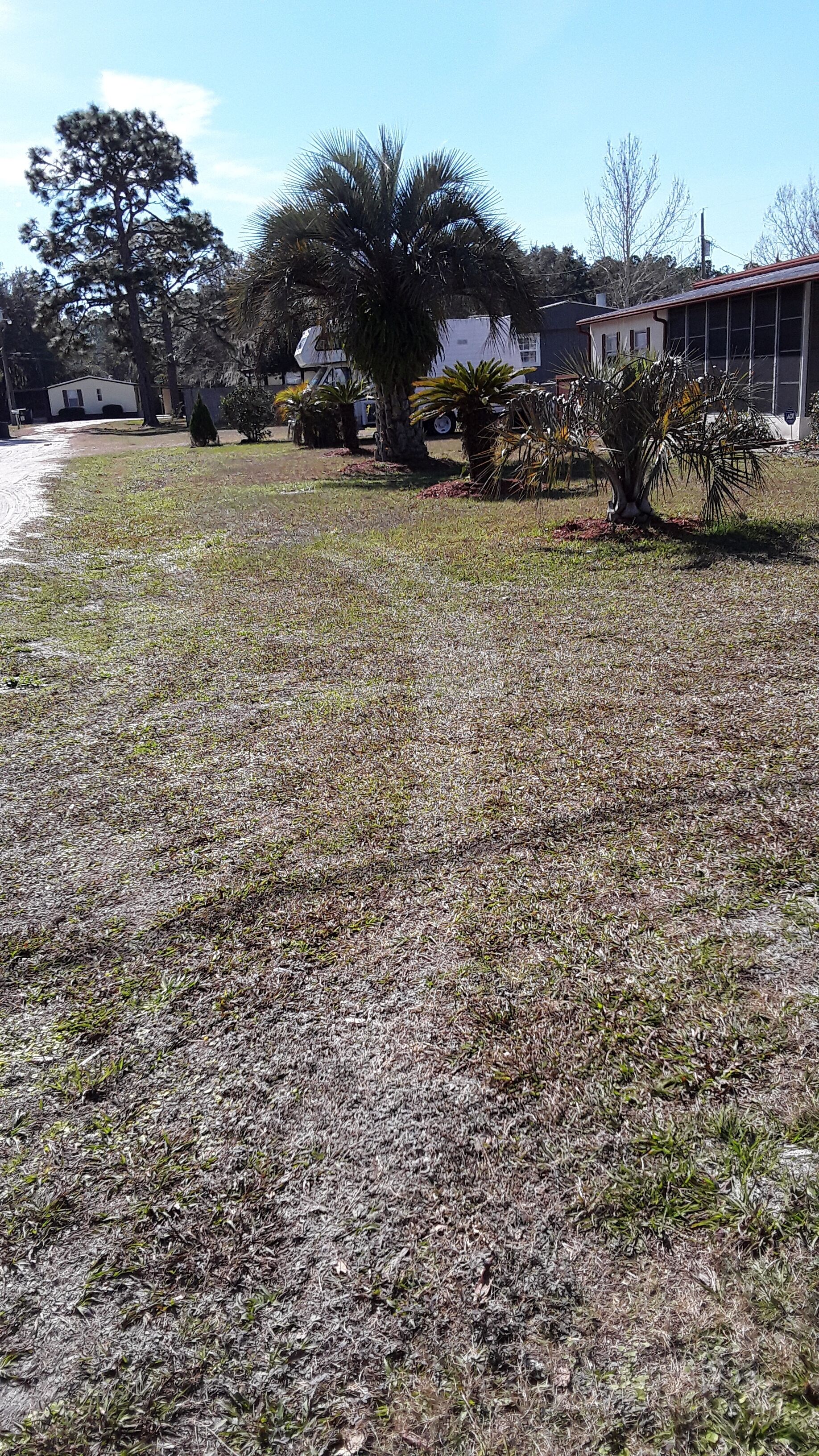 Dog friendly vacation rental near St. Johns River 