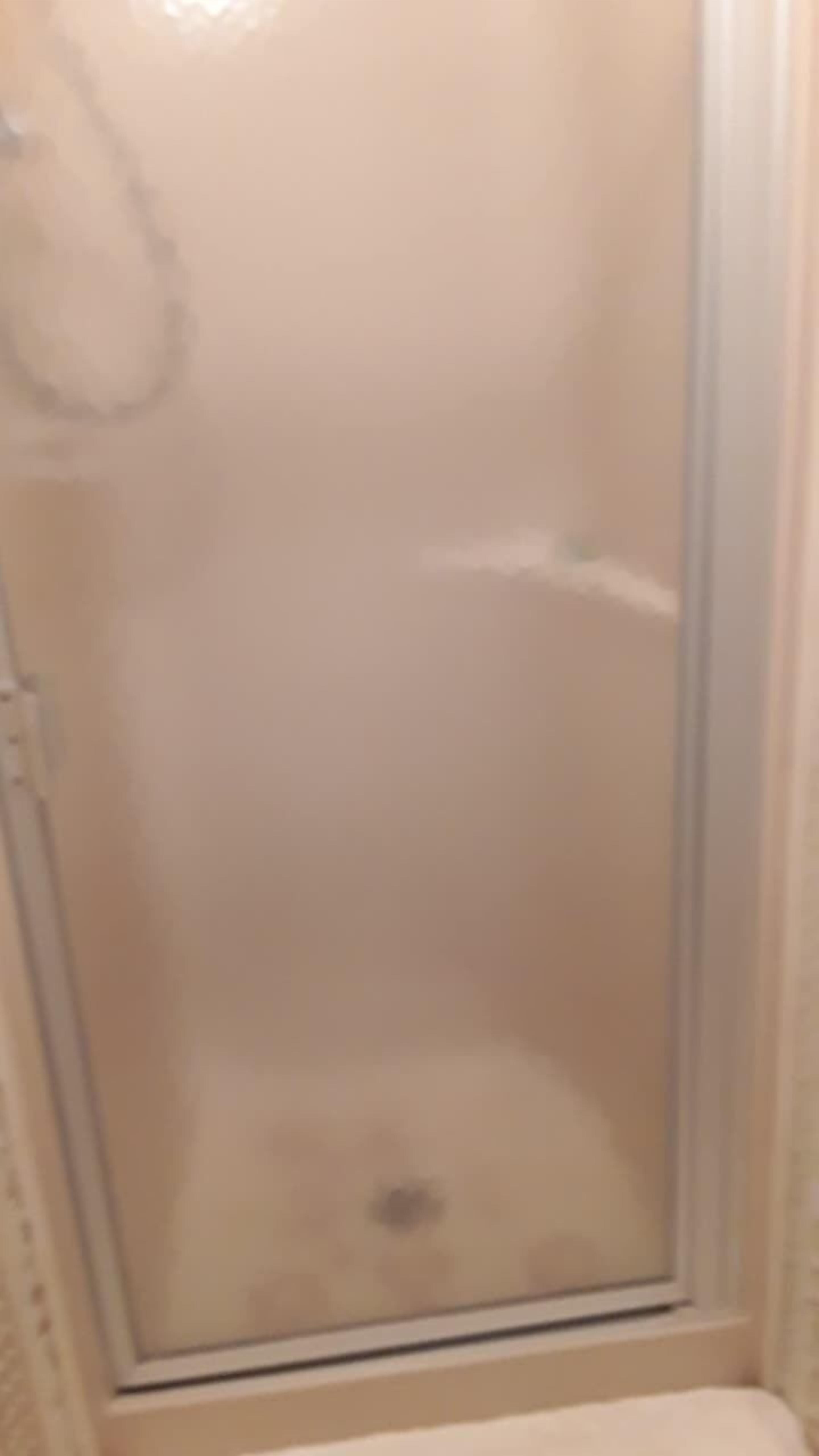 Dog friendly vacation rental near St. Johns River 