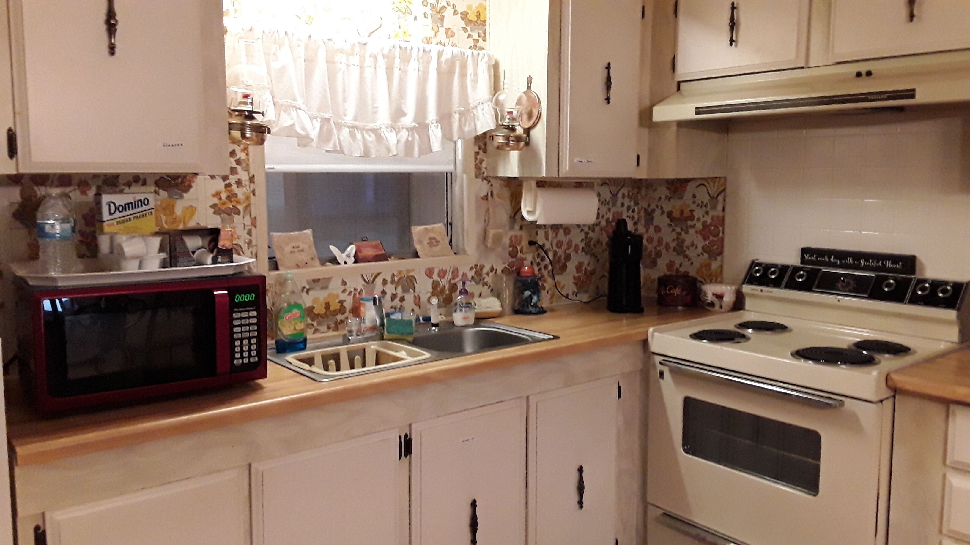 Dog friendly vacation rental near St. Johns River 