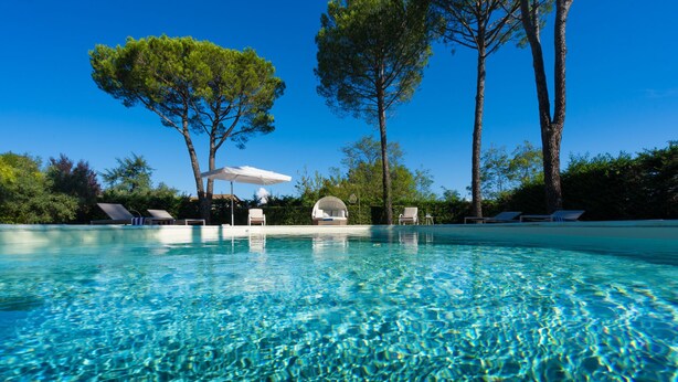 Une piscine aux eaux cristallines, bordée de chaises longues et d’ombrelles, et entourée d’arbres.