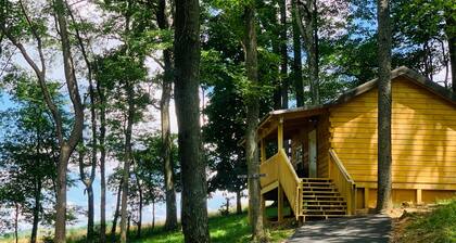 Rental Cabin - Back of the Dragon Route 16