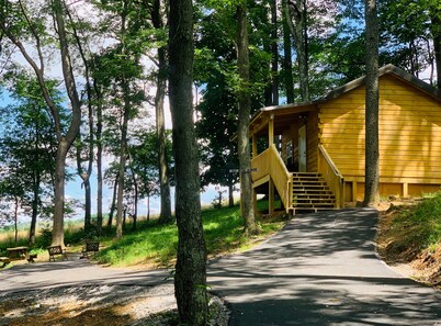 Rental Cabin - Back of the Dragon Route 16