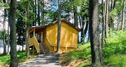 Rental Cabin - Back of the Dragon Route 16