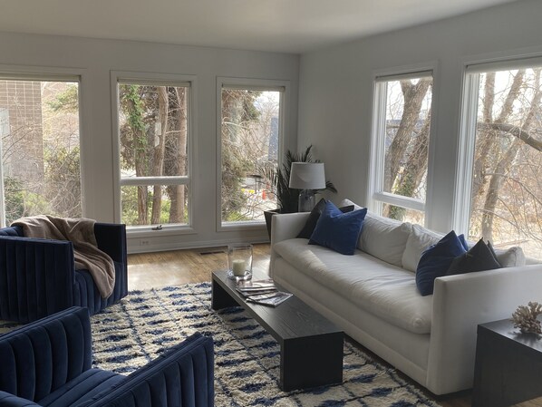 Smart TV, fireplace, DVD player, stereo