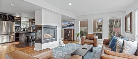 TV connectée, cheminée, lecteur de DVD, chaîne hi-fi