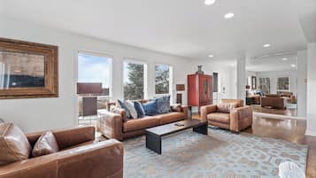 TV connectée, cheminée, lecteur de DVD, chaîne hi-fi