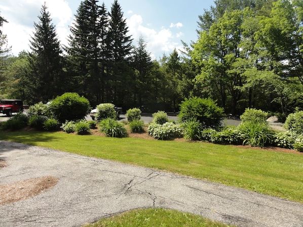 Condo (Windsor Hill B16, Waterville Valley) | Property grounds