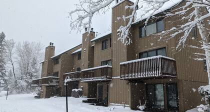 Waterville Valley Pet Friendly Vacation Condo Close to Community Center! - Whb16v