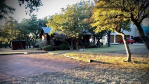 A residential area with a paved driveway, a small wooden shed, and a house with a sloped roof. - Cabin in the Country (Fredericksburg)