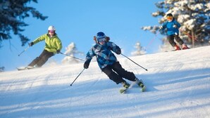 Ferienhaus (PB Dec 20th-27th, 2Shw, Lincoln) | Wintersport/Ski