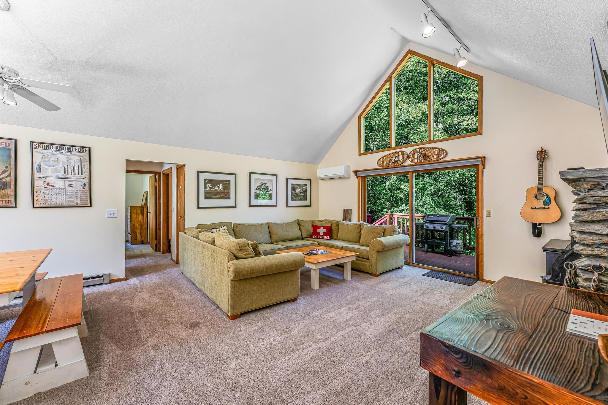 TV connectée, cheminée, lecteur de DVD, chaîne hi-fi