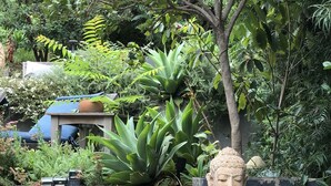 A stone Buddha statue in a garden with various plants and a wooden bench. - Peaceful Hillside Garden Cottage (Los Angeles)