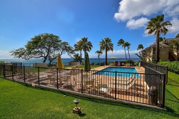 Outdoor pool - NP C21 OceanFront 2BD Condo w AC Ocean Views (Lahaina)