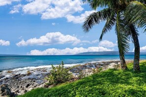 Beach nearby, sun loungers, beach towels - NP C21 OceanFront 2BD Condo w AC Ocean Views (Lahaina)
