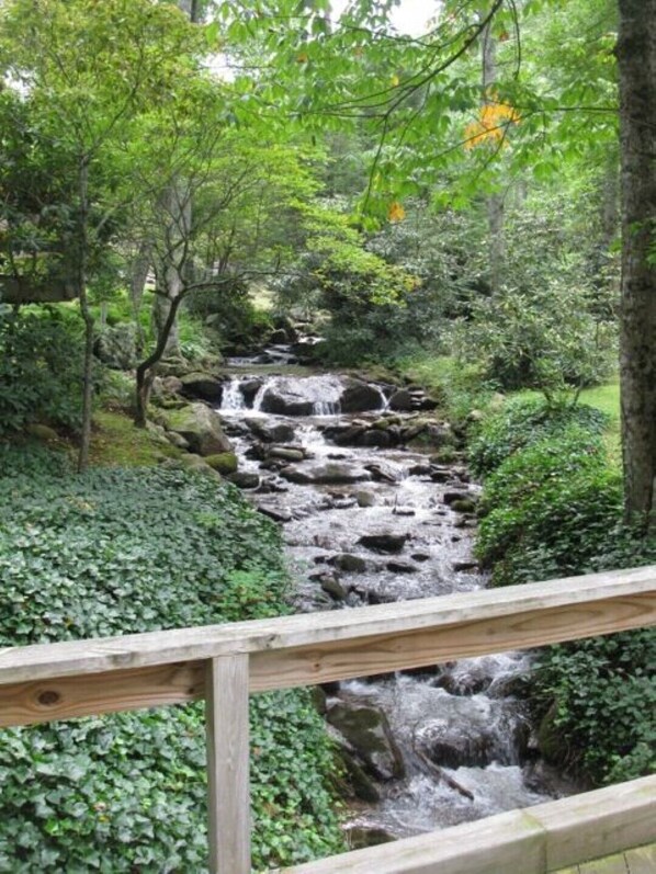 Property grounds - Beautiful River & Creekfront Chalet near Waynesville & GSMNP! Fast Free WiFi! (Canton)