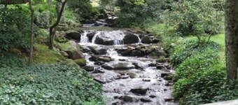 Beautiful River & Creekfront Chalet near Waynesville & GSMNP! Fast Free WiFi!