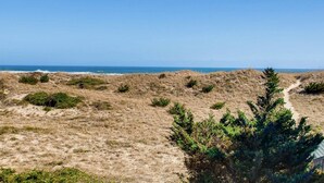 Un paisaje costero con dunas, vegetación escasa y una vista despejada del océano.