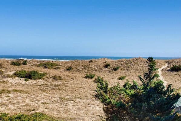 On the beach - Oceanfront All A Round Views - Pet Friendly! (Avon)