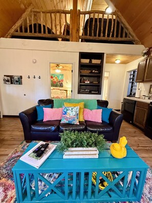 TV, fireplace, video games, books