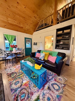 TV, fireplace, video games, books