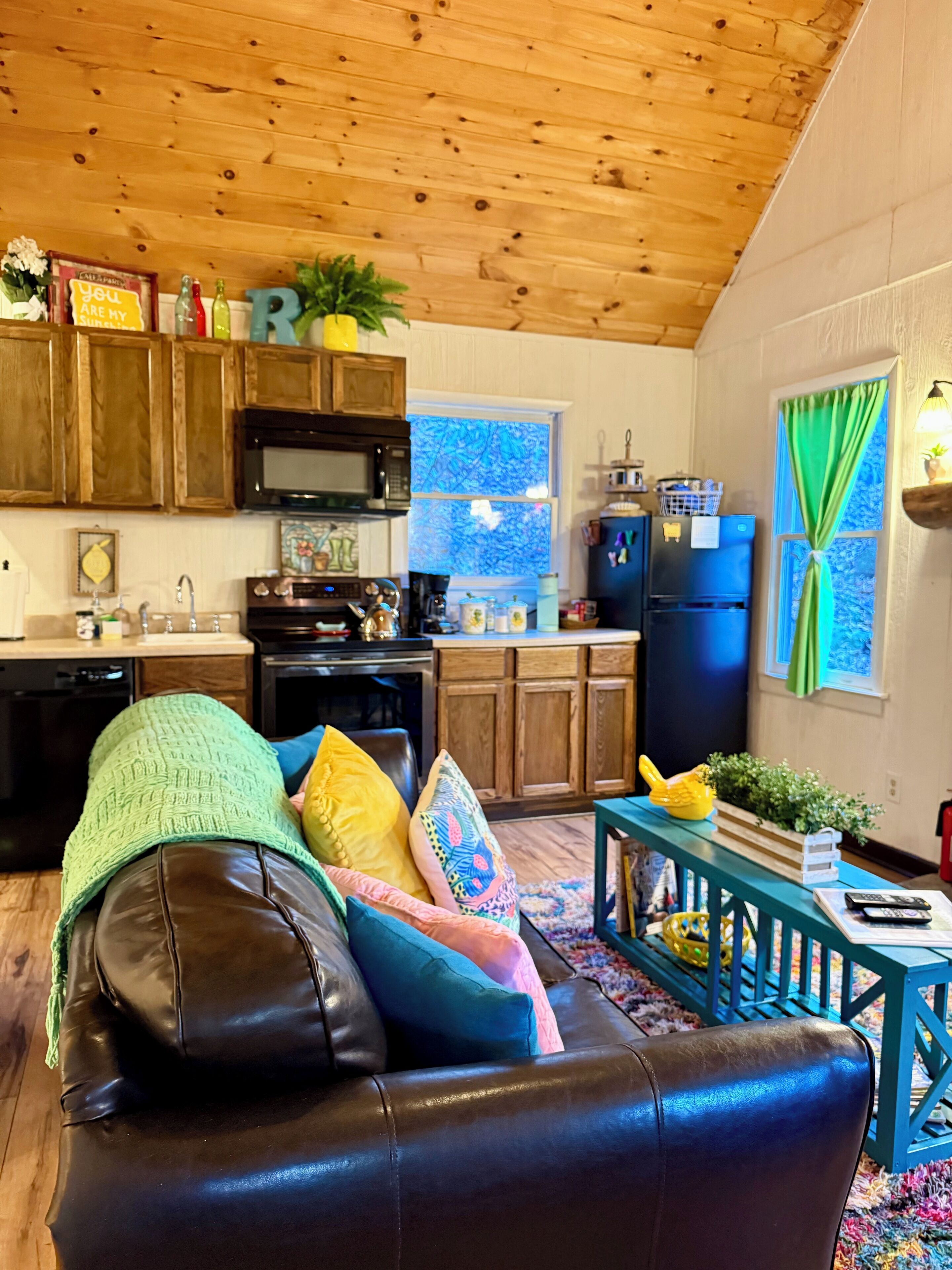 电视、壁炉、电子游戏、书