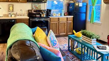 TV, fireplace, video games, books