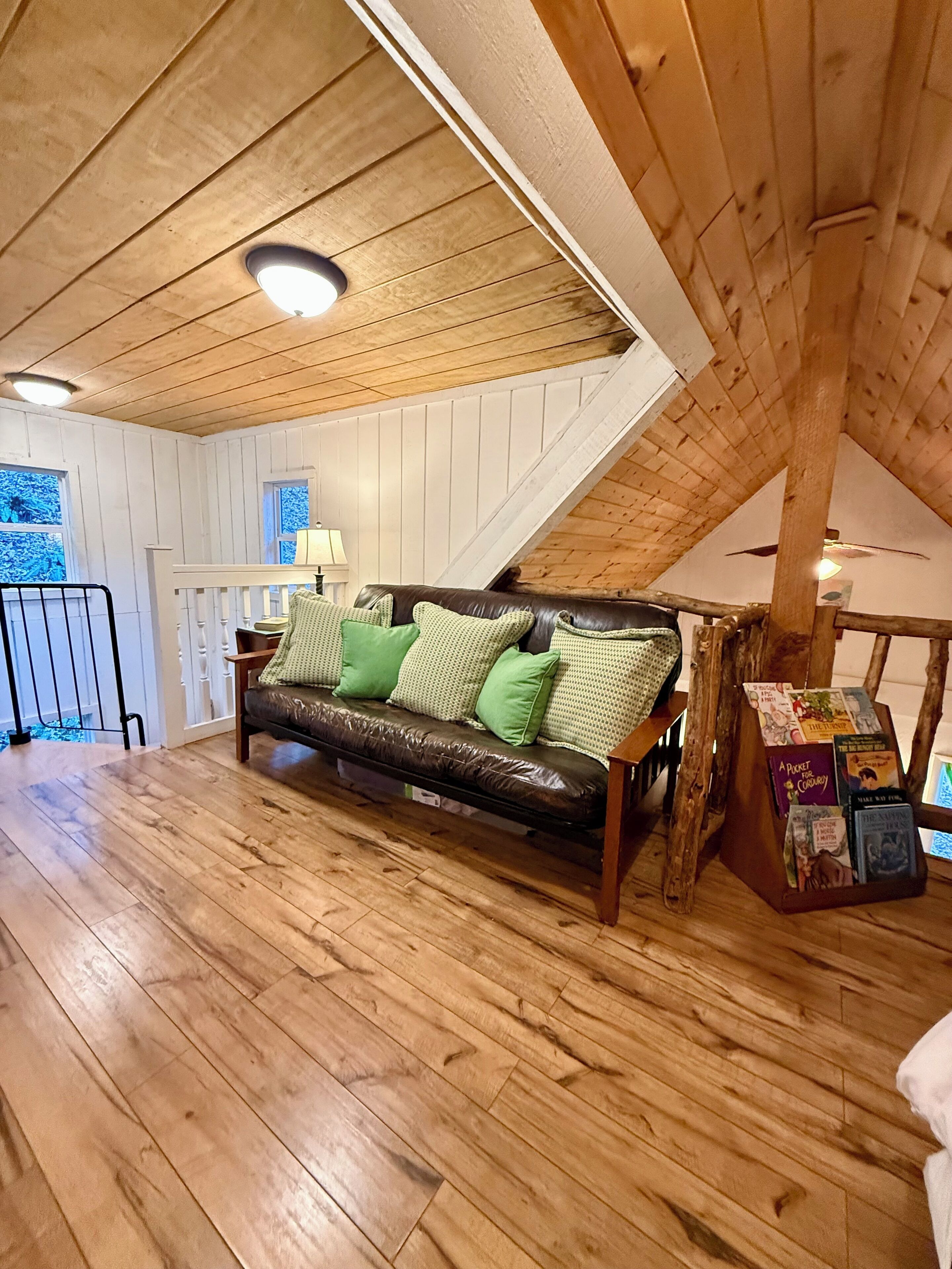 Una televisión, una chimenea, videojuegos, libros