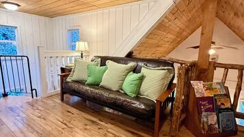 TV, fireplace, video games, books