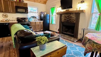 Una televisión, una chimenea, videojuegos, libros