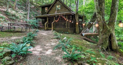 Cozy Cabin in the Woods Hammock Private