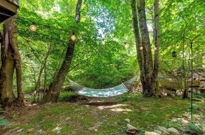 Terrain de l’hébergement 
