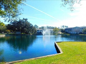 Stroll through a serene outdoor setting featuring a tranquil pond with a central fountain.