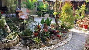 Taman