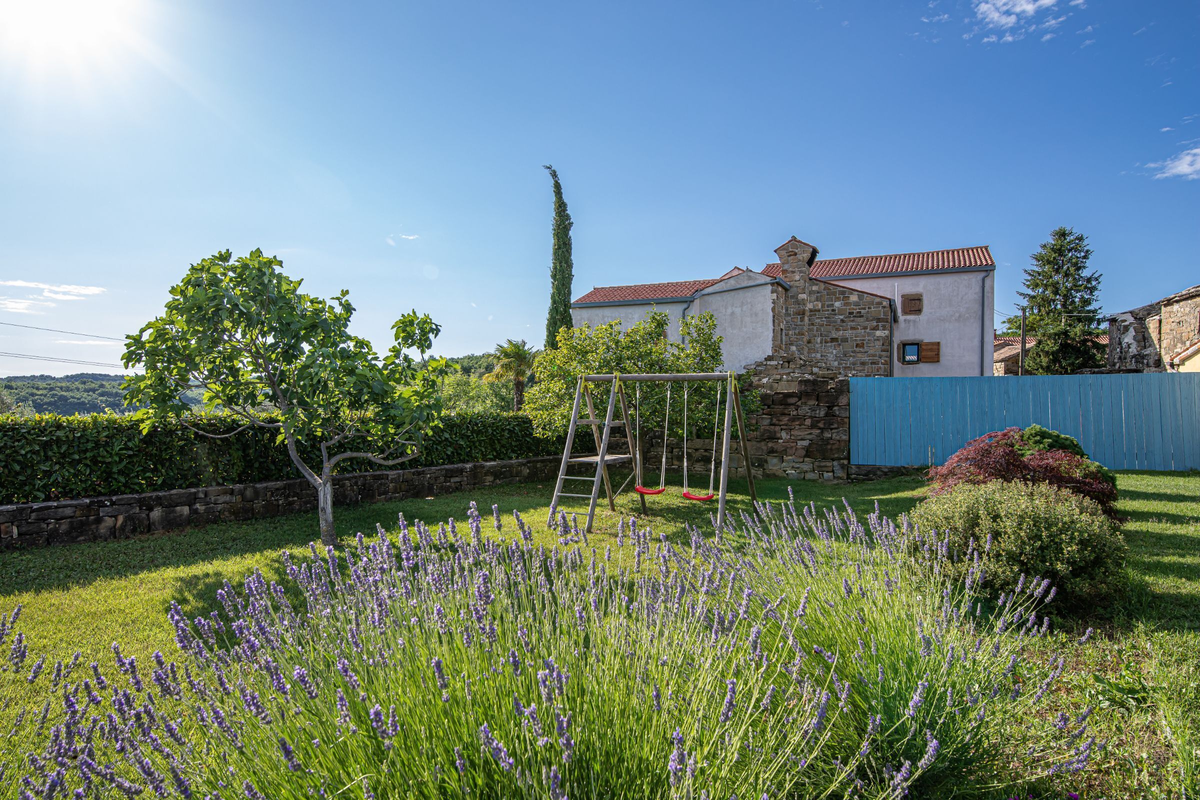 Un jardí amb lavanda, una paret de pedra i un tobogan de fusta.