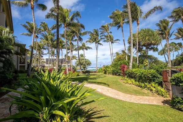 A tropical resort with palm trees, a pathway, and a view of the ocean.