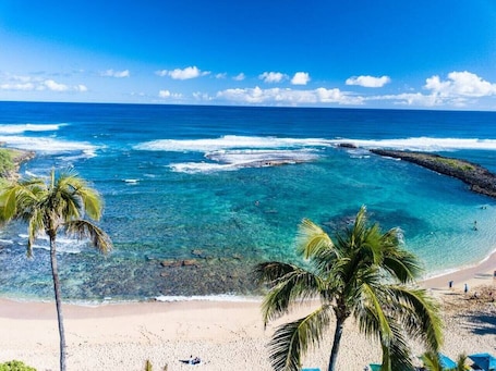 A beach with clear turquoise water, palm trees, and a rocky shoreline.
