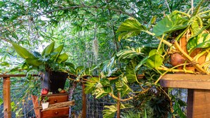 Een houten terras met potplanten en een rustieke houten dressoir.