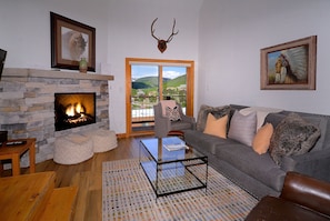 TV, fireplace, offices