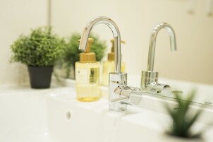 Separate tub and shower, free toiletries, hair dryer, electronic bidet